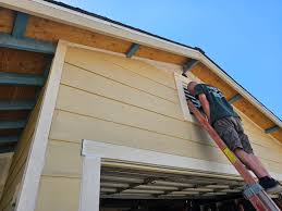 Best Siding Painting and Refinishing  in Montrose, MI